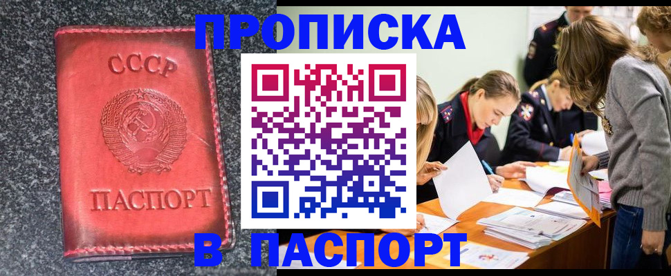 прописка для школы в Очёре